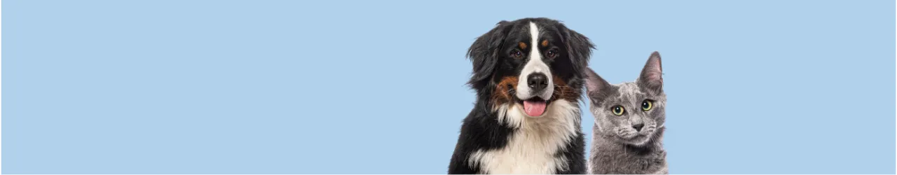 All Products for your Pet Friends