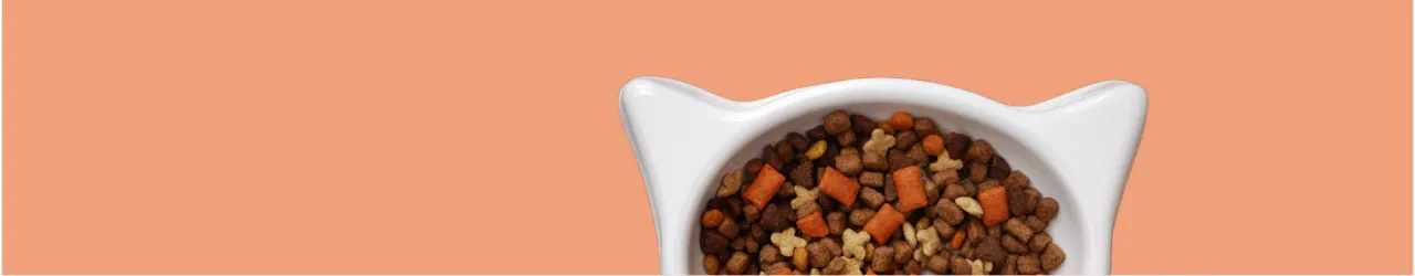 Dry Food for Cats