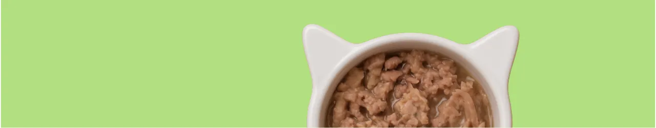 Wet Food for Cats