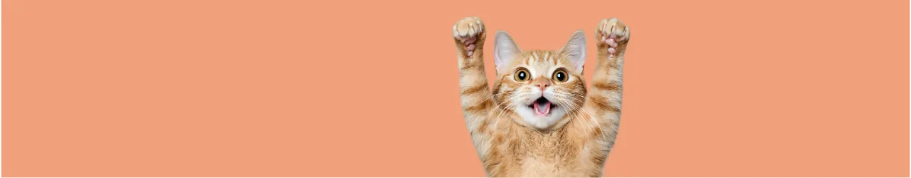 Cat Soothers: Catnip