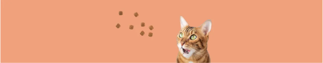 Tasty Treats for Cats
