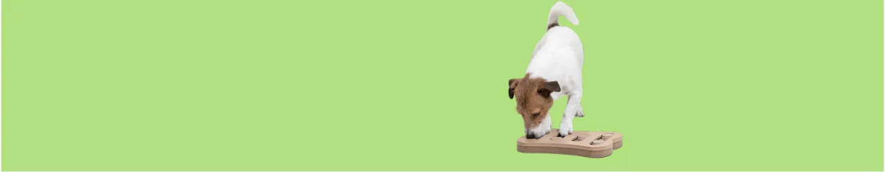 Puzzles & Interactive Dog Toys