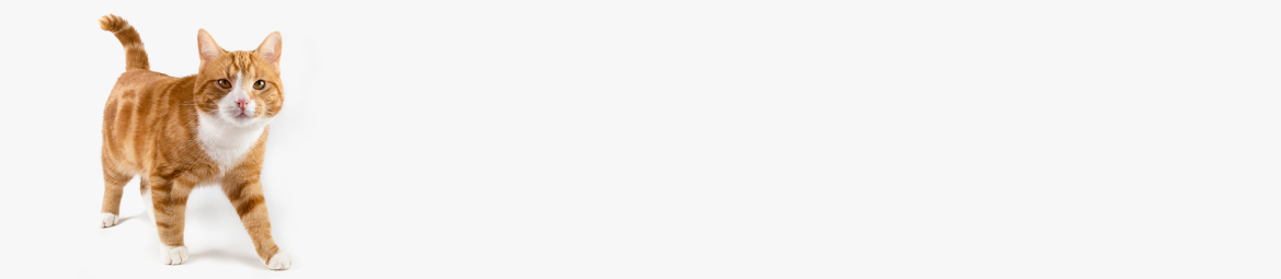 Fish4Cats | Cat Treats