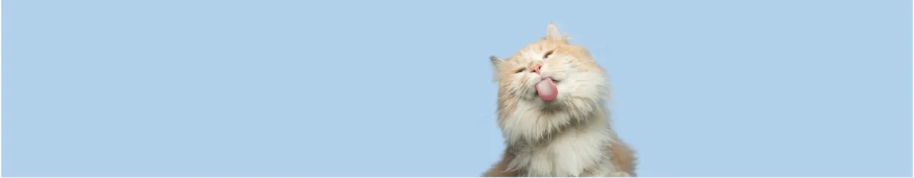 Hairball Control for Cats