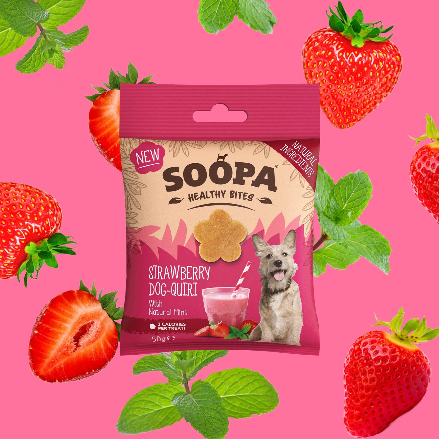 Soopa Healthy Bites for Dogs Strawberry Dog-Quiri 50g
