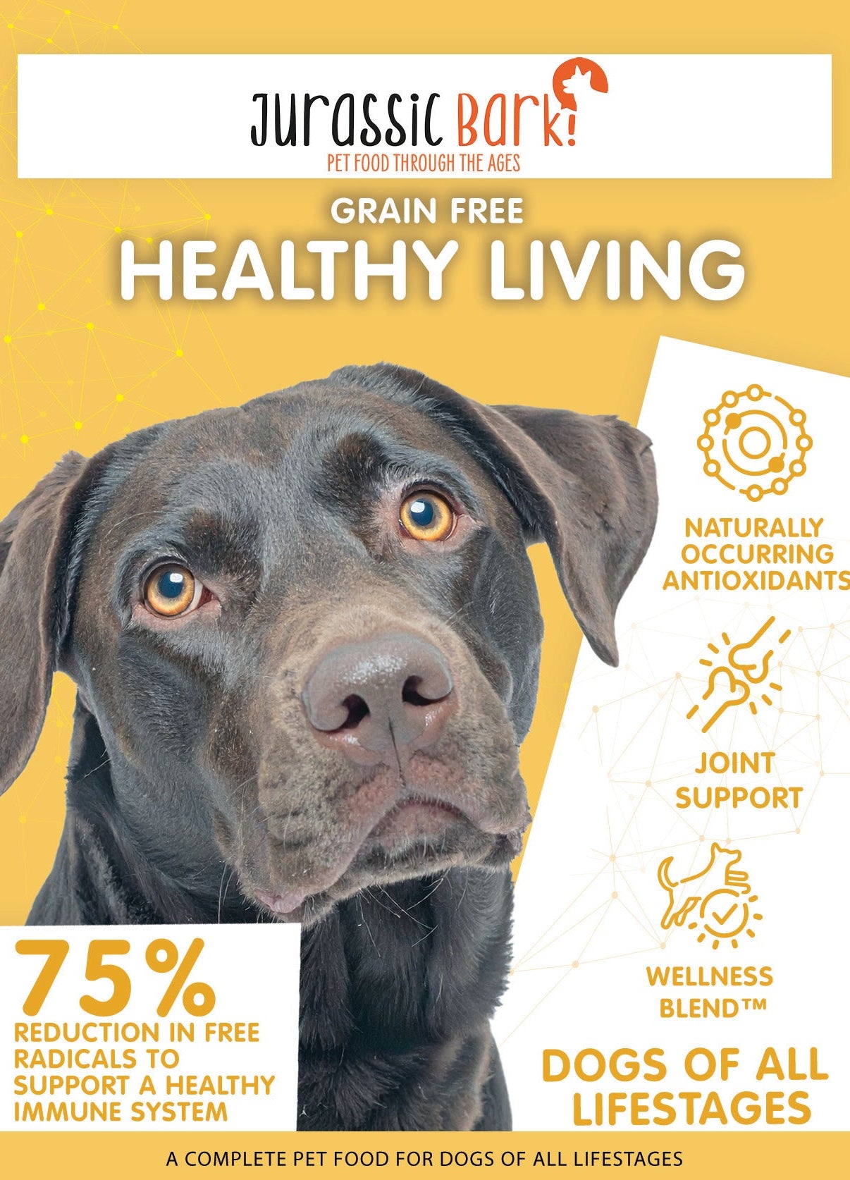 Jurassic Bark Peptide - Hypoallergenic Healthy Living