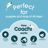 Company of Animals Coachi Puppy Training Line Navy 2.5m