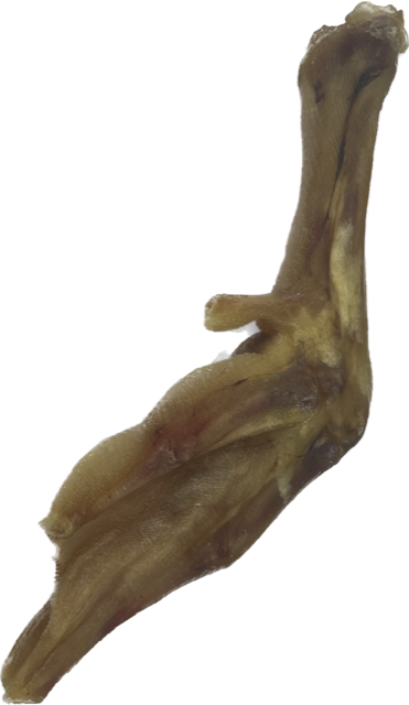 Natural Goose Feet (1 pack, 3 pack or 5 pack)