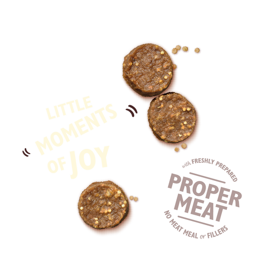 Lily's Kitchen Chomp - Away Chicken Bites 70g