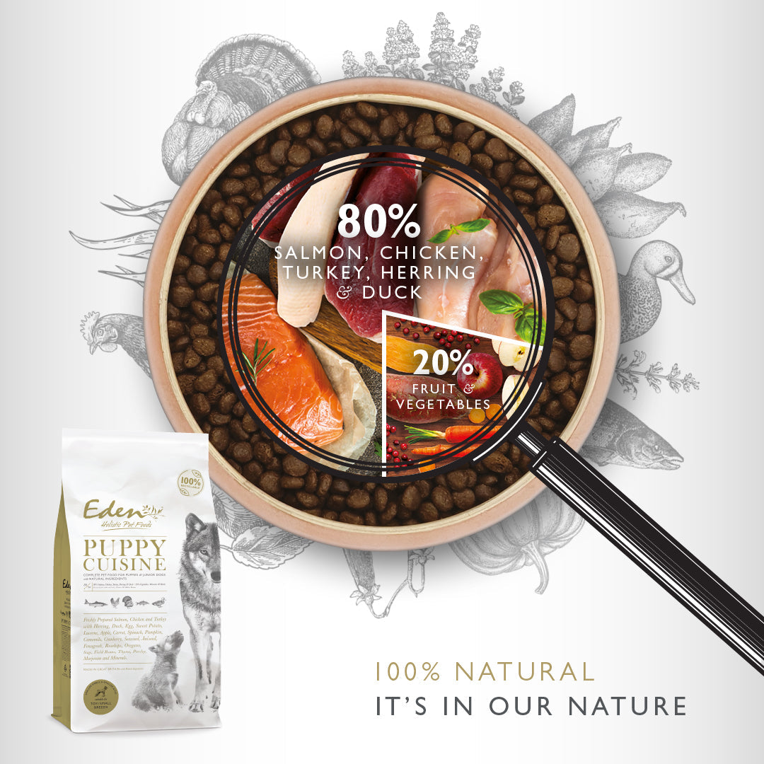 80/20 Puppy Cuisine Dog Food - medium -12kg x2 bags