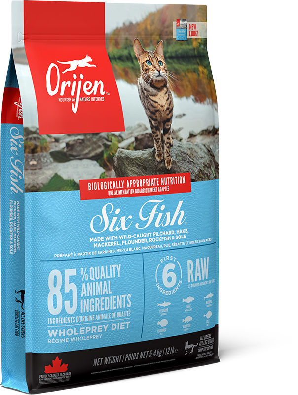 ORIJEN 6 Fish Cat