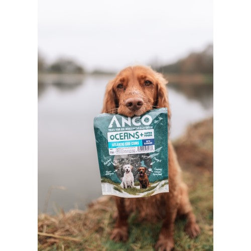 Anco Oceans+ Atlantic Cod Coins with Blueberry 50g