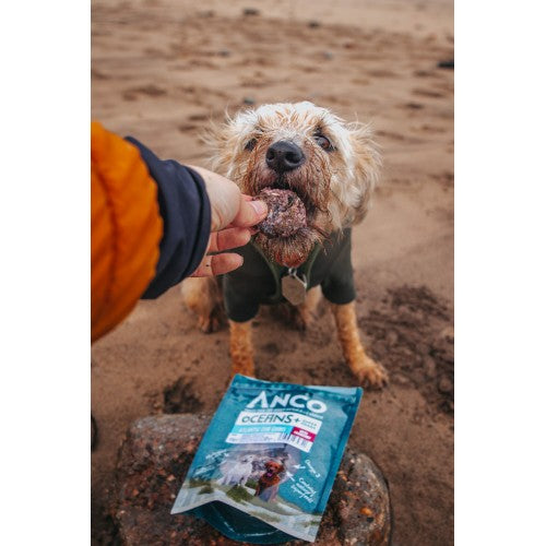 Anco Oceans+ Atlantic Cod Coins with Cranberry 50g BBD 1/25