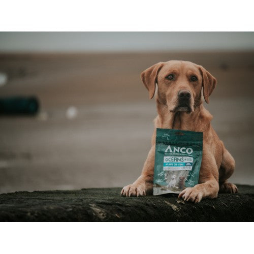 Anco Oceans+ Atlantic Cod Stick with Blueberry 70g