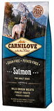Carnilove Salmon Adult Dog- Jurassic Bark Pet Store Littleport Ely Cambridge