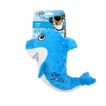 All For Paws Chill Out Shark