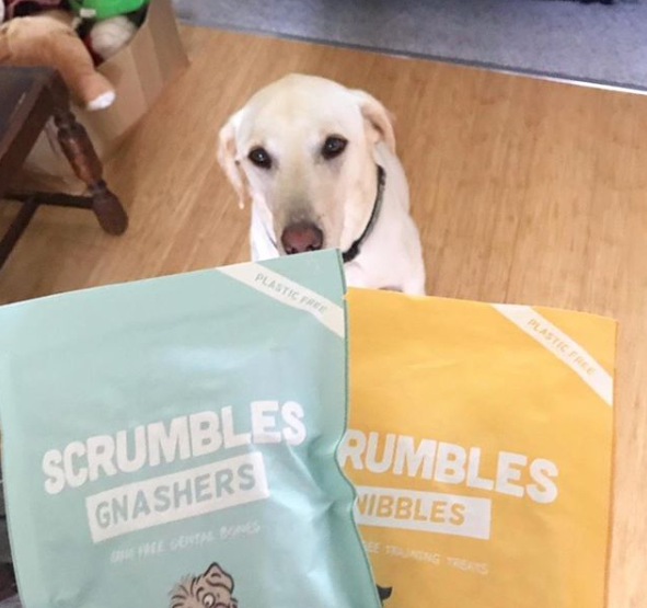 A super Saturday spent with Scrumbles