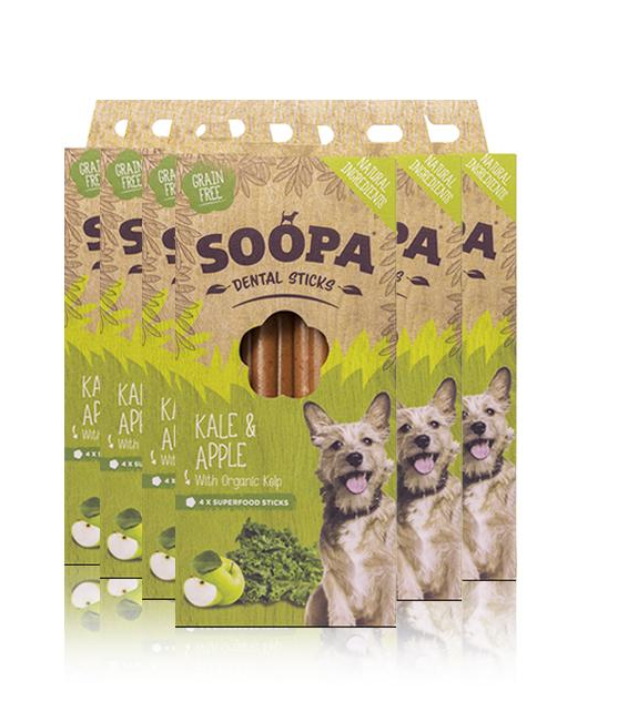 Jurassic Bark’s must-have pet products: June Edition