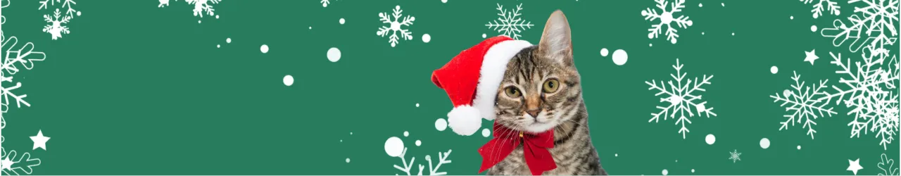 Cat Christmas