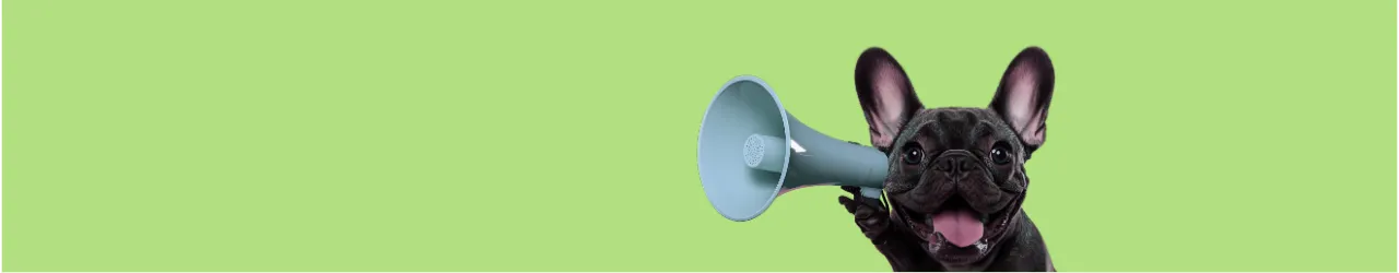 Jurassic Bark All Dog Products