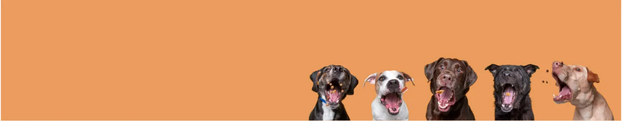 Grain Free Dog Treats