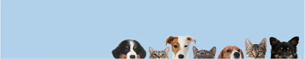 All New In Store Products