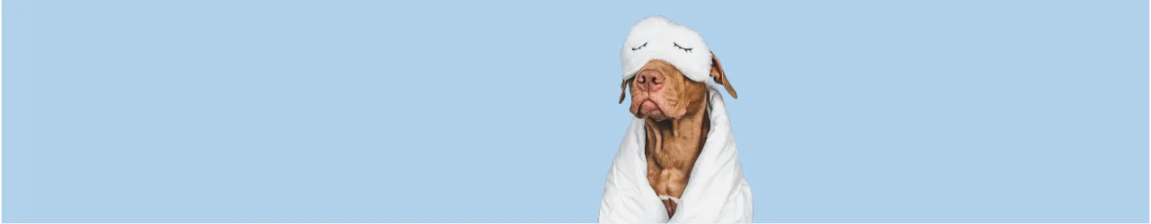 Washable Bed for Dogs