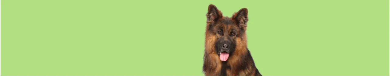 Jurassic Bark Peptide Dog Food