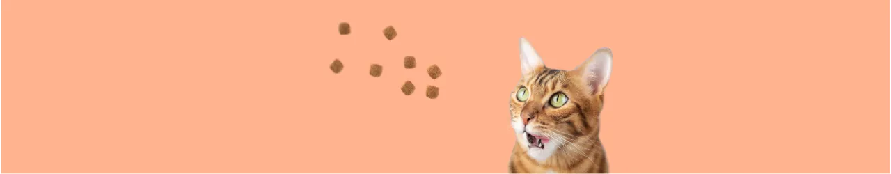 Crunchy Treats for Cats