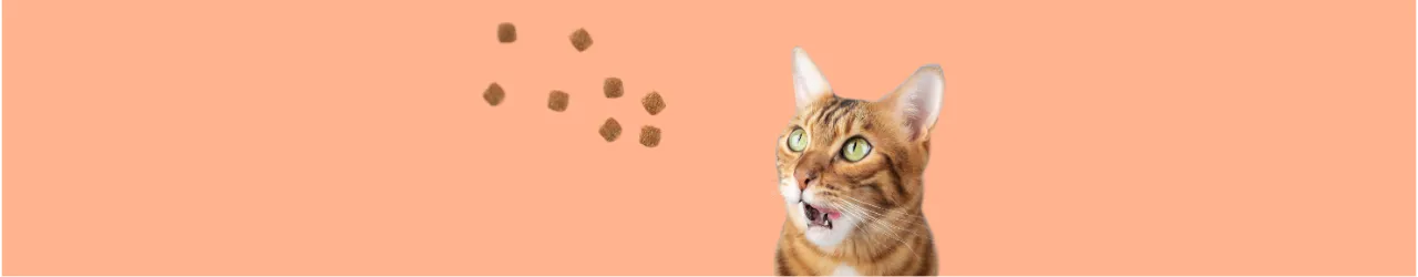 Salmon-based Cat Products