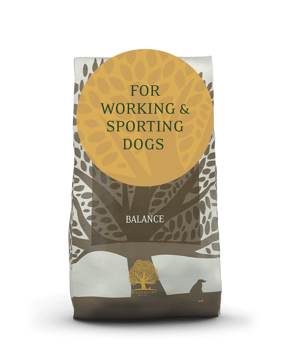 Essentials BALANCE // WORKING DOG