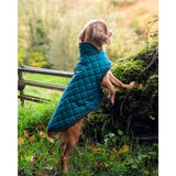 Henry Wag Teal Quilted Dog Jacket Small 40cm