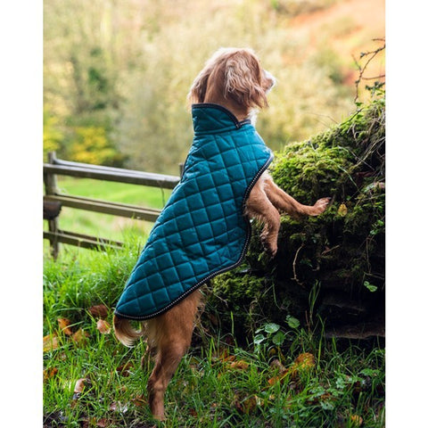 Henry Wag Teal Quilted Dog Jacket Small 40cm