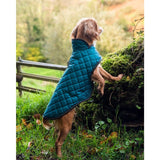 Henry Wag Teal Quilted Dog Jacket Medium 45cm