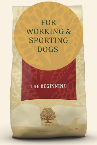 Essentials THE BEGINNING SMALL BREED // WORKING DOG