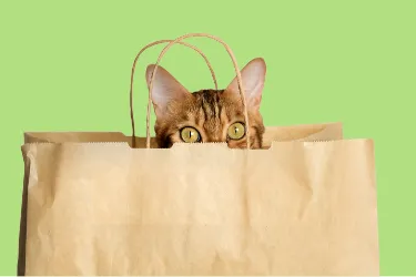 Cat peeking out from a brown paper bag against a green background