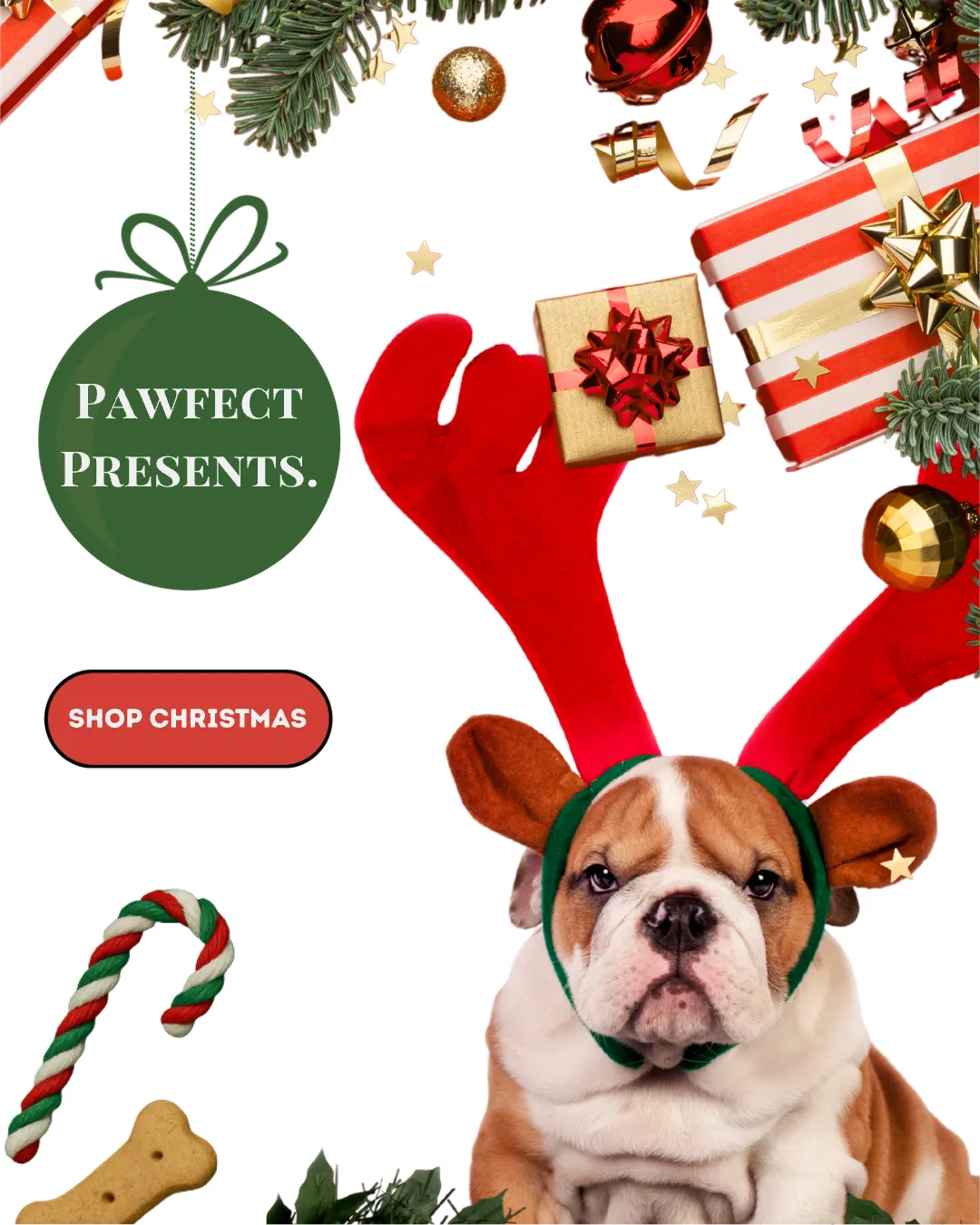 Dog wearing reindeer antlers with Christmas decorations and 'Pawfect Presents' branding.