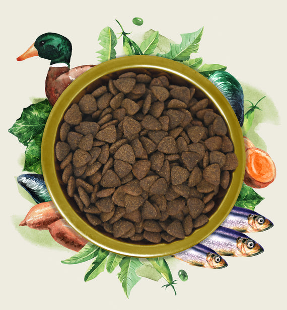 Eden Gourmet Range Duck & Herring Dry Dog Food 2kg Jurassic Bark Pet