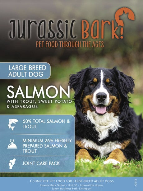 Jurassic Bark GF Large Breed Adult Salmon & Trout