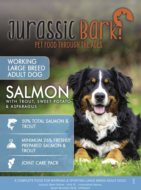 Jurassic Bark GF Large Breed Adult Salmon & Trout Working Dog 15kg