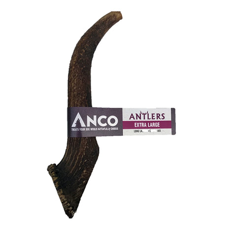 Anco Antler Extra Large