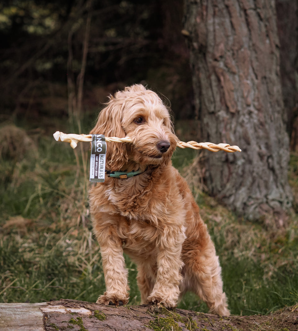Anco Naturals Giant Buffalo Braids