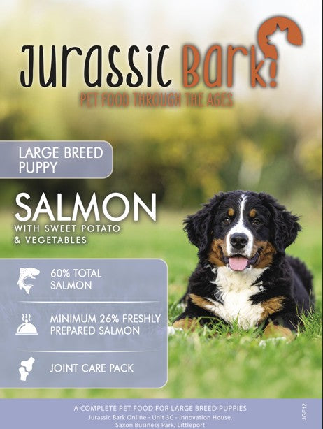 Jurassic Bark GF Puppy Large Breed Salmon with Sweet Potato