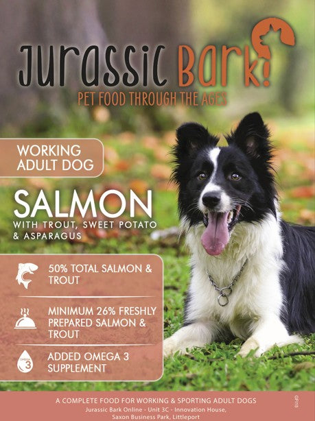 Jurassic Bark GF Adult Salmon & Trout Working Dog 15kg