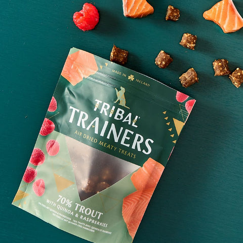 Tribal Trainers Trout & Raspberry Dog Treats 80g