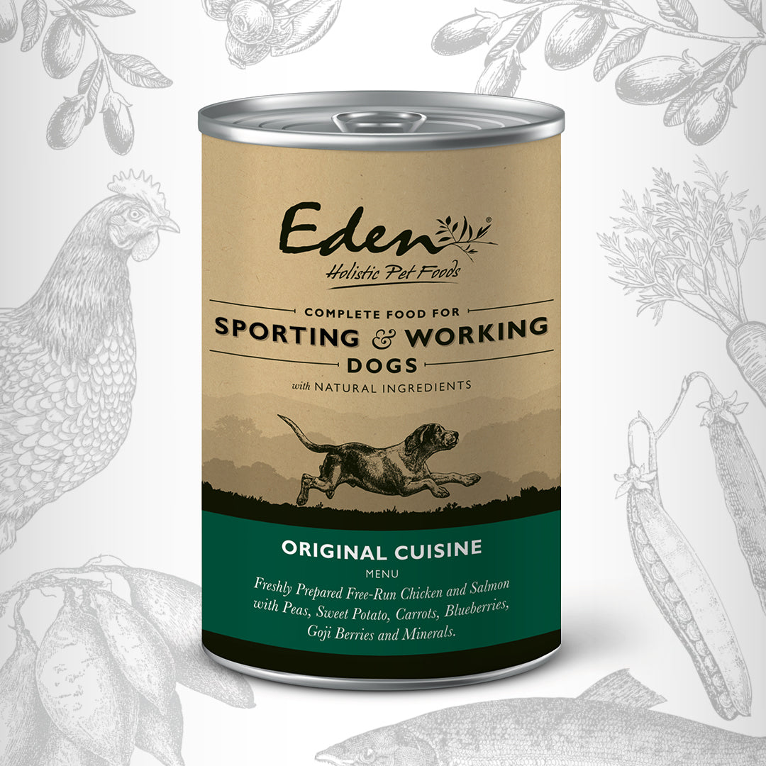 Original Wet Food For Working And Sporting Dogs