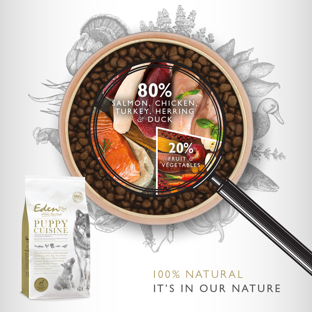 80/20 Puppy Cuisine Dog Food