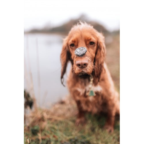 Anco Oceans+ Atlantic Cod Coins with Pumpkin 50g BBD 1/25