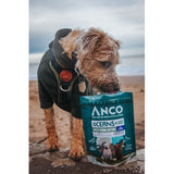 Anco Oceans+ Baltic Herring Buttons with Blueberry 80g BBD 11/24