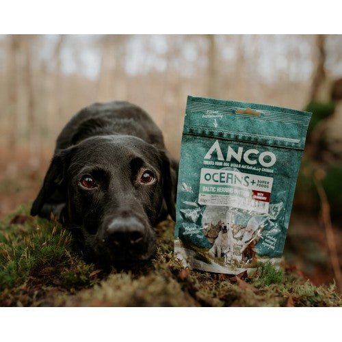 Anco Oceans+ Baltic Herring Buttons with Cranberry 80g BBD 11/24